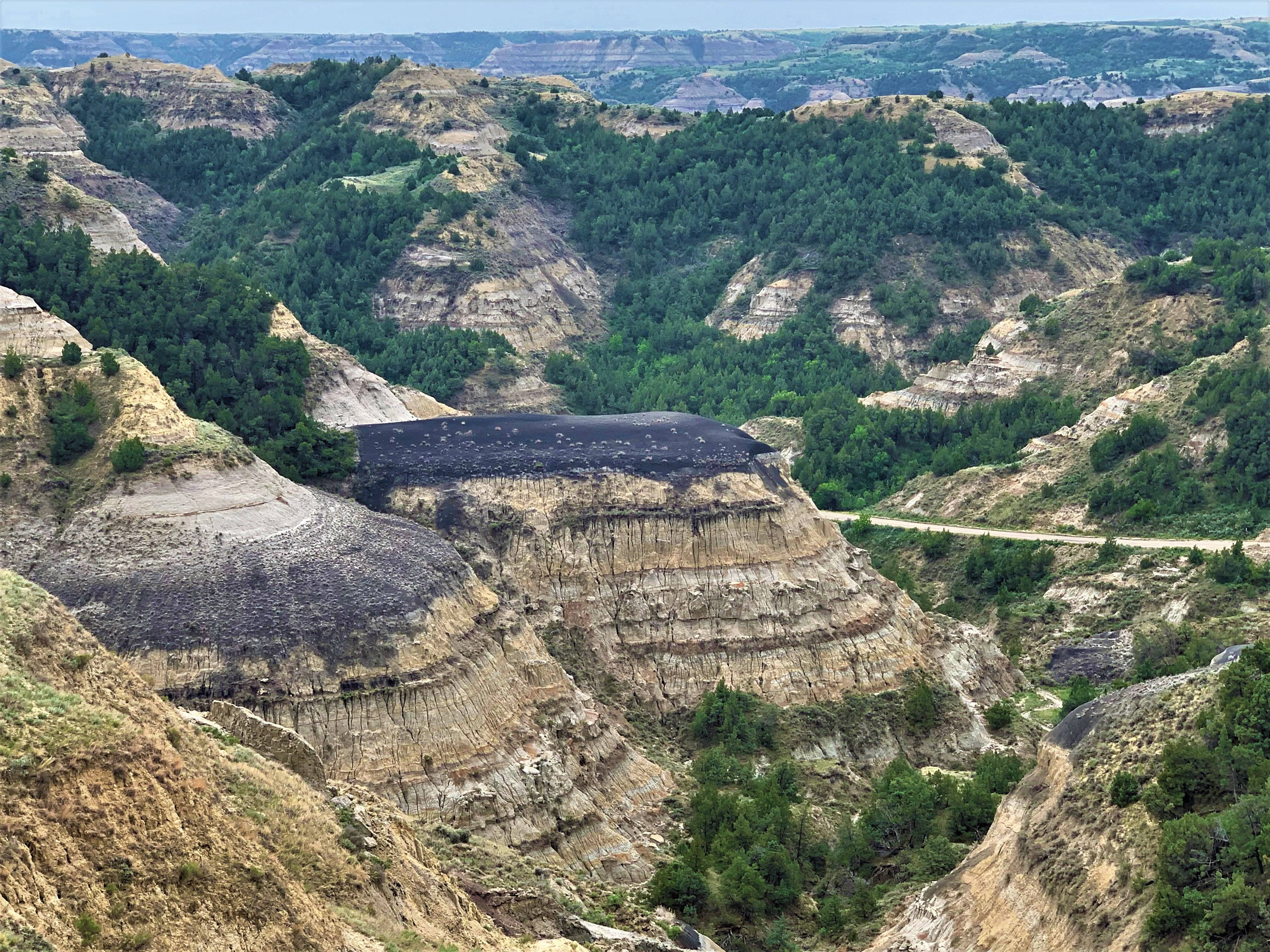 Theodore Roosevelt NP